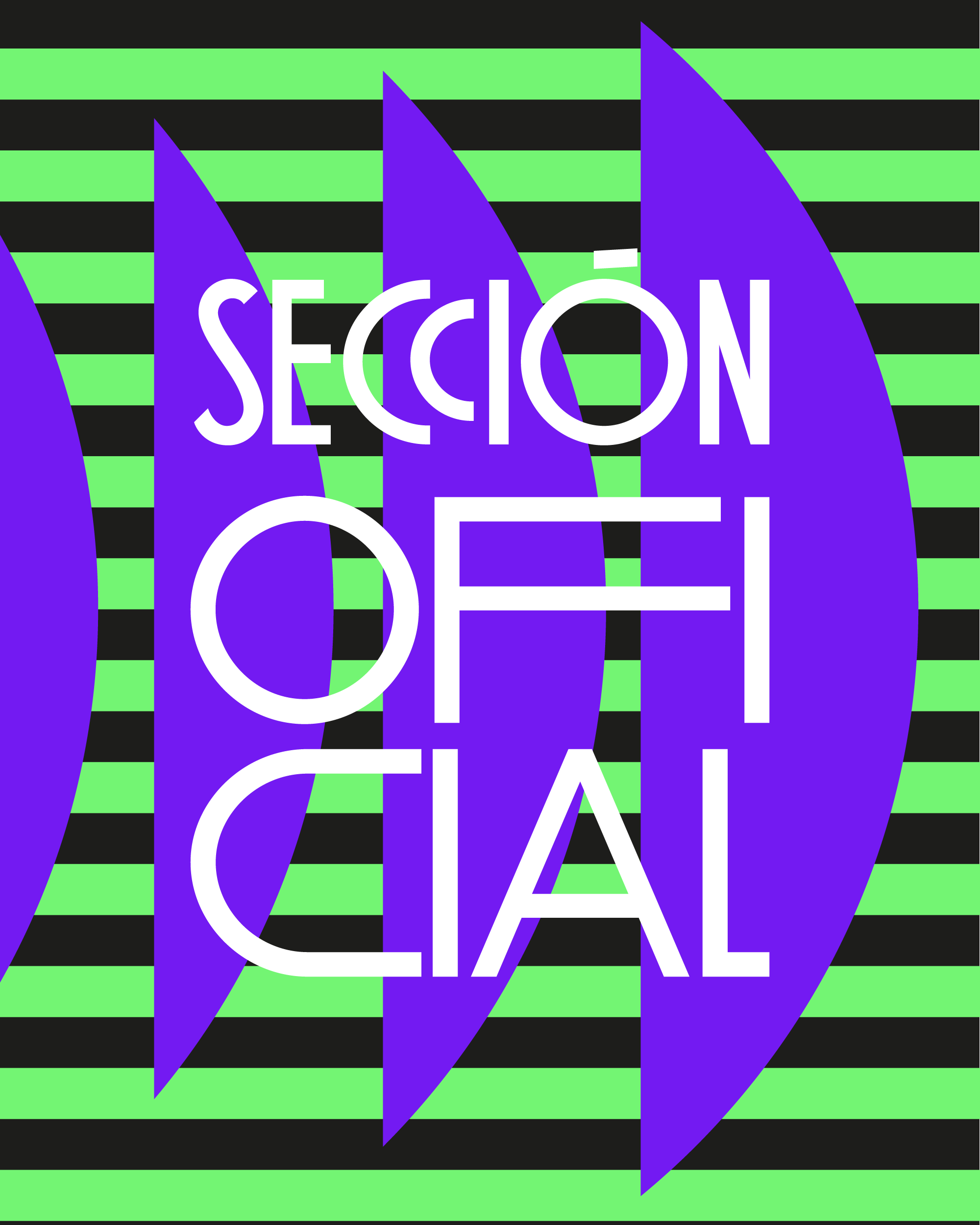 29FCFM_SECCIONES-02